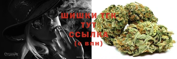 меф Арсеньев