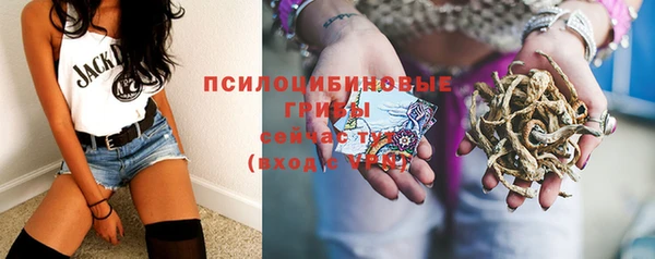 меф Арсеньев
