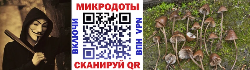 Галлюциногенные грибы мицелий продажа наркотиков Нея